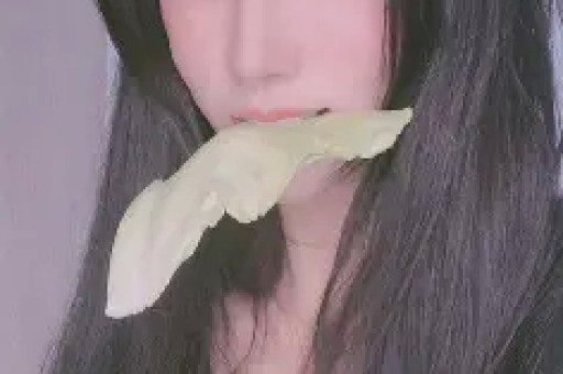 911-官方版-911-2026最新版v6